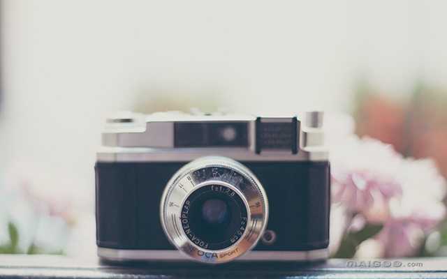 全球十大微单相机品牌排行榜前十名