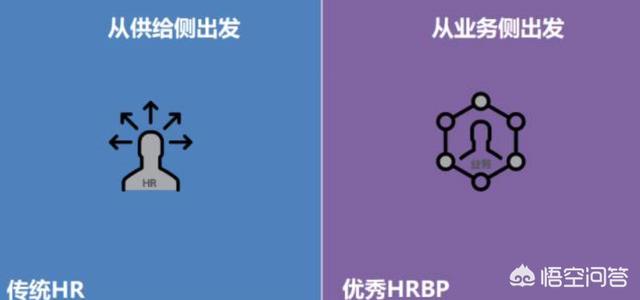 hrbp是什么意思