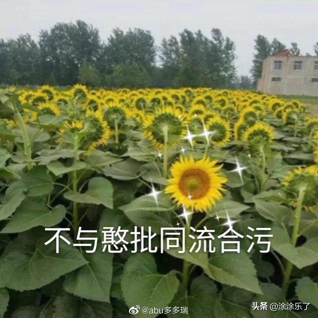 qq群头衔名称大全沙雕