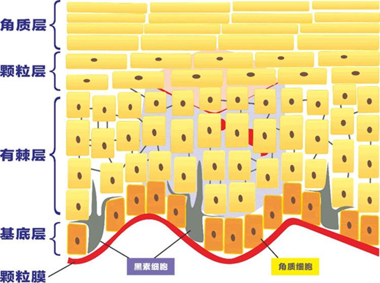 磨砂膏多久用一次