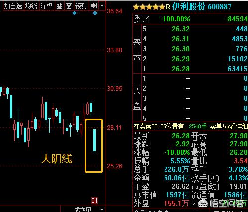 阴线阳线全集图解