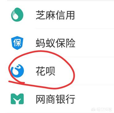花呗有没有可能算错账