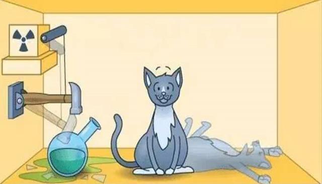 薛定谔的猫是什么意思？