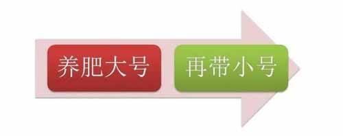 微信怎么养号效果最好？