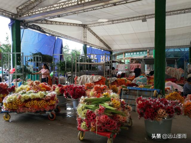 昆明斗南花卉市场鲜花批发价格