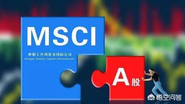 msci概念是什么意思