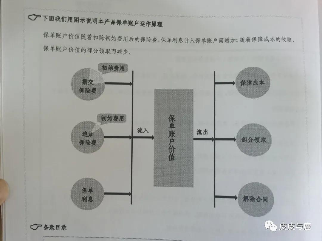 智盈人生交满10年退保