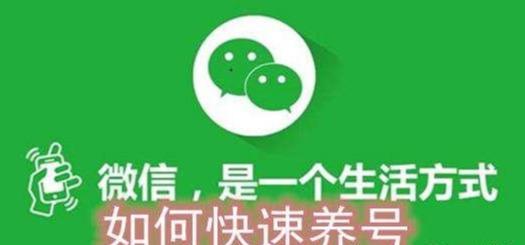 微信养号技巧