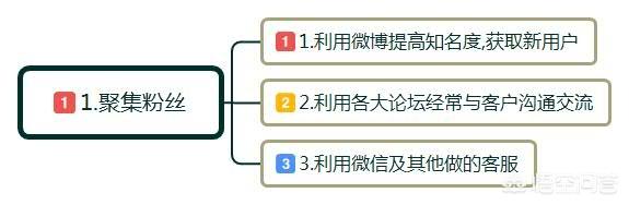 社群营销成功案例