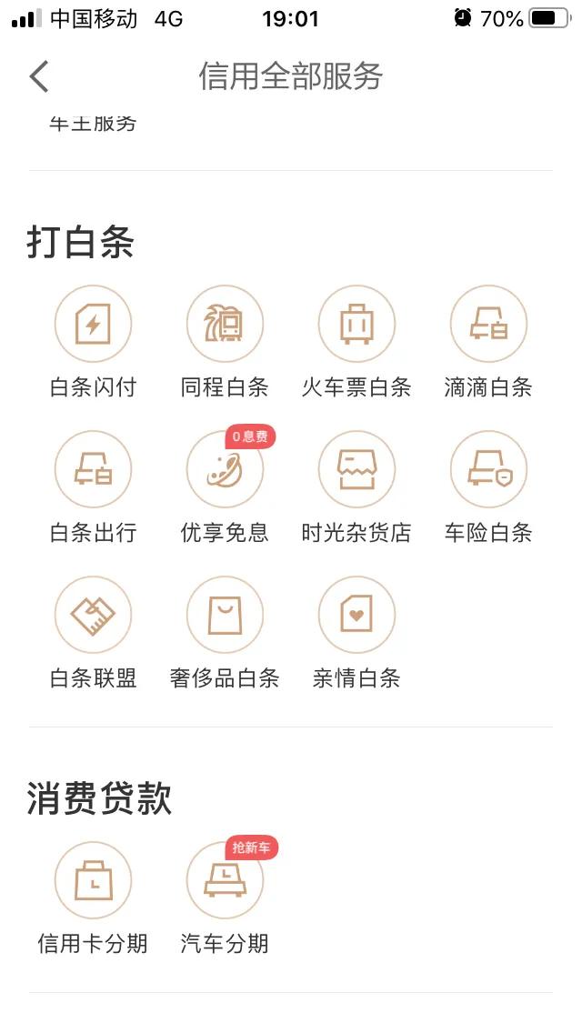 教程：京东白条怎么套出来