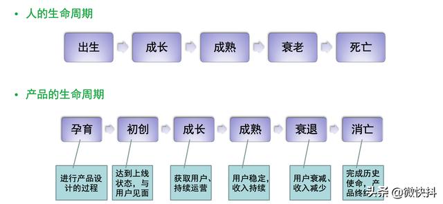 互联网运营主要做什么