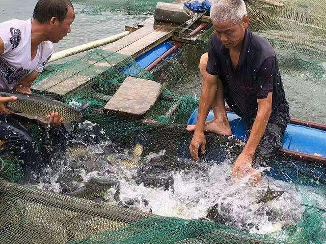 农民创业致富好项目