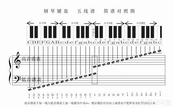 钢琴简谱怎么看图解