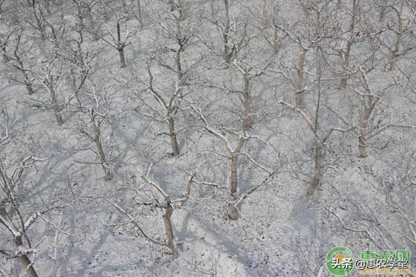 寒露是什么意思