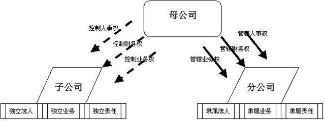 子公司与分公司的区别