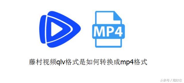 qlv格式转mp4格式