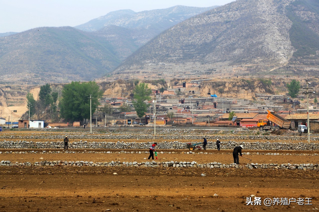 一亩地计算公式