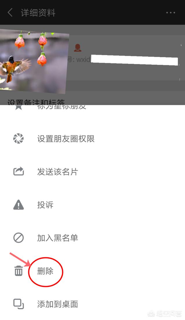 微信怎么彻底删除好友