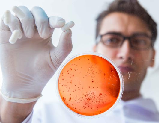 超级细菌是指什么
