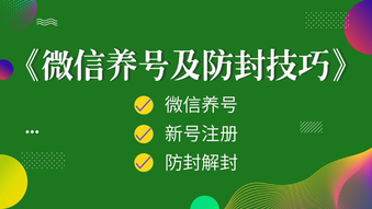 微信怎么加10000个人