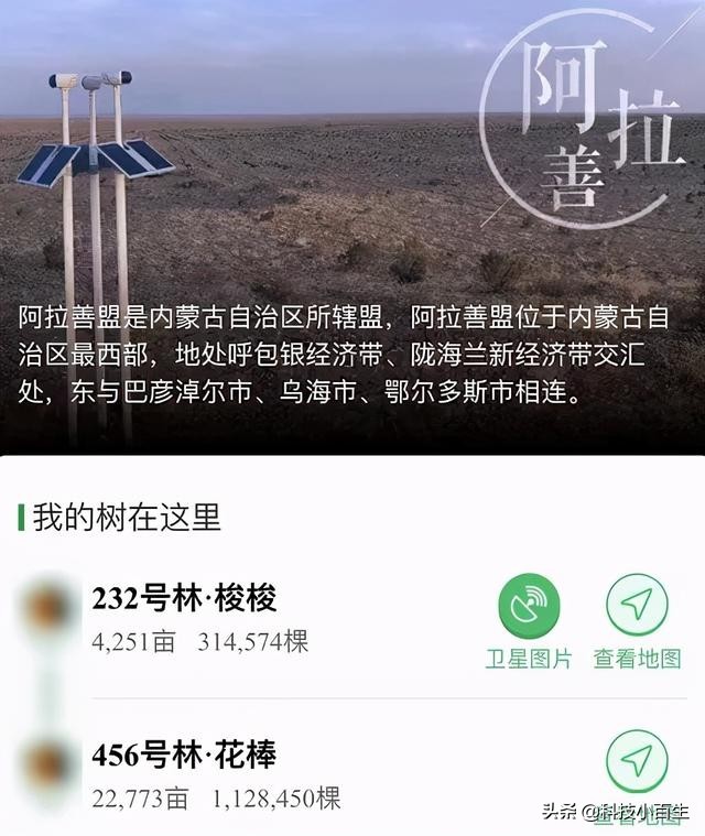 支付宝蚂蚁森林偷偷薅羊毛了？