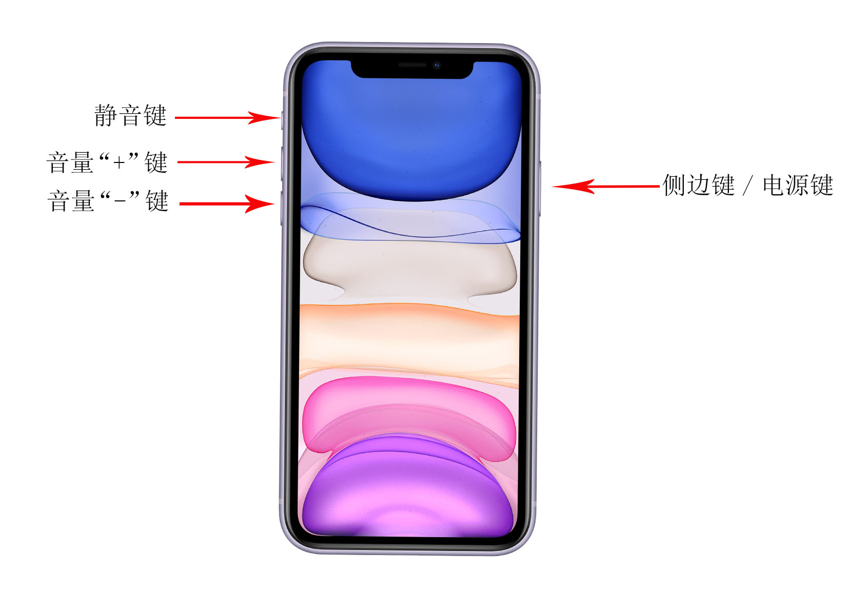 iphonex强制关机方法