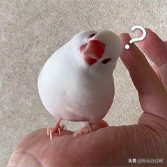一键反转颜色的软件