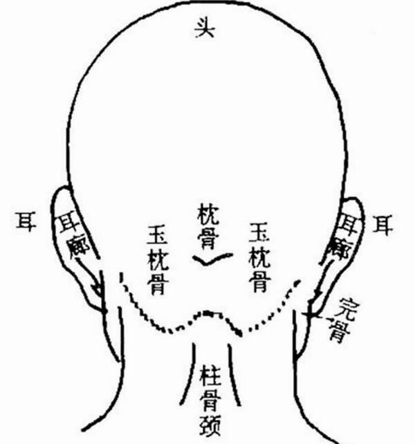 反骨什么意思