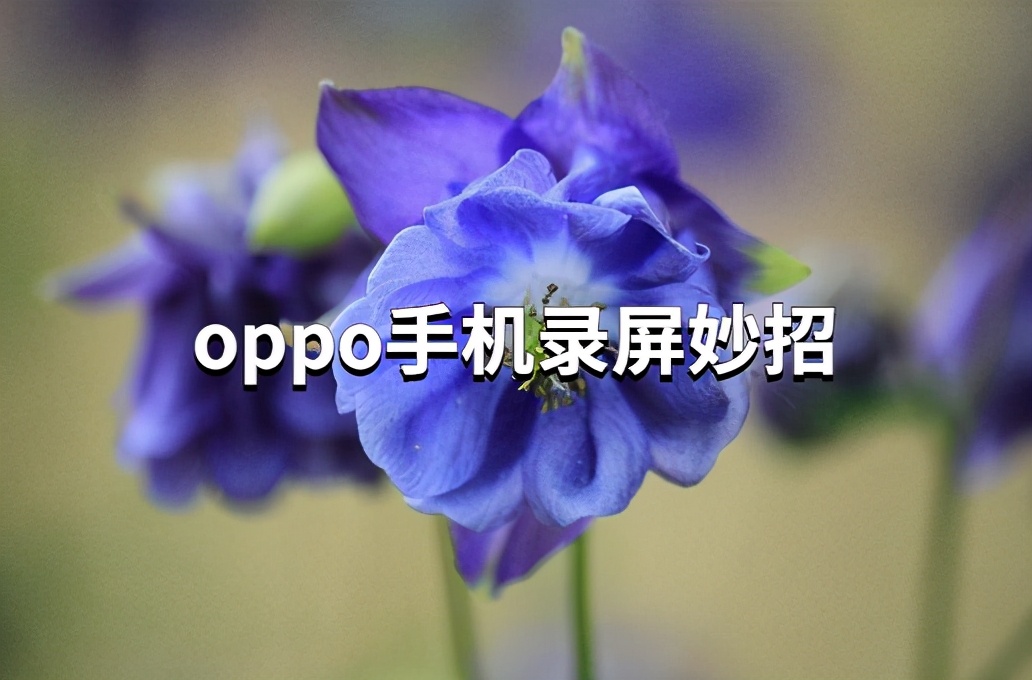 oppor11怎么录屏