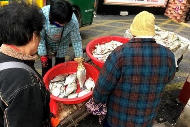 分享5个低成本高利润的项目