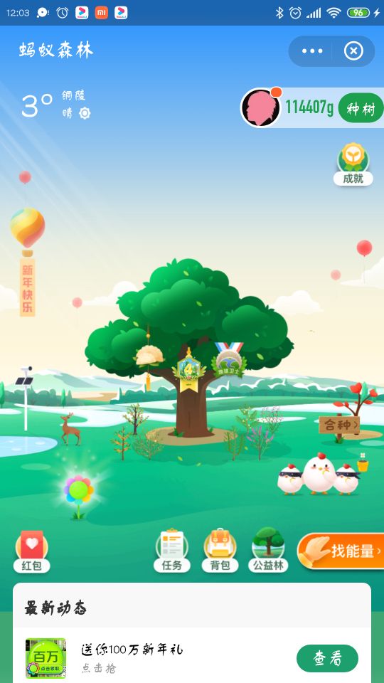 支付宝植树证书纸质版