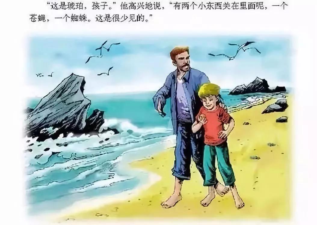 琥珀是怎么形成的