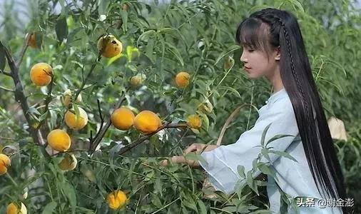 网红李子柒做泡菜被韩国网友抵制