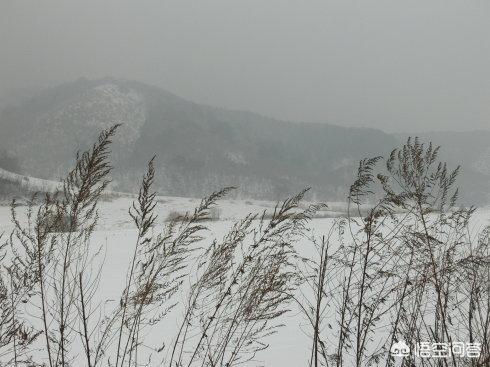 风雪夜归人比喻什么