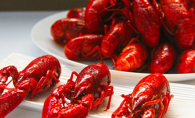 乌镇美食在哪些地方（乌镇美食攻略）