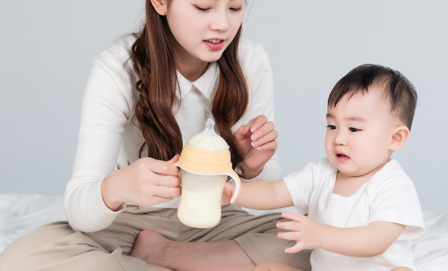 中外十大奶粉品牌排行榜前十名