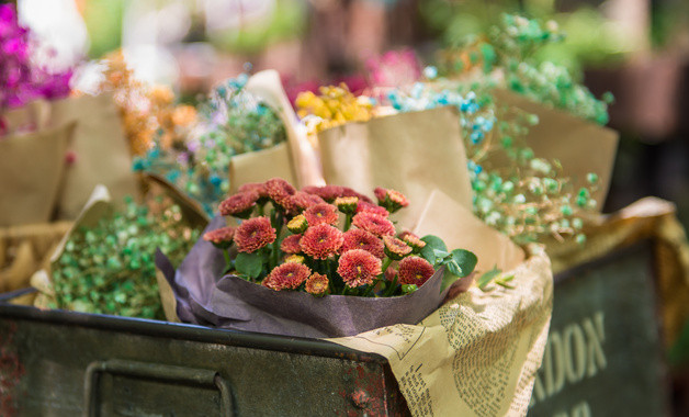 水仙花每日几点钟开花（水仙花几点开花）