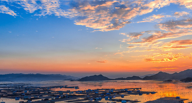 迎春花盆景的养殖方法（迎春盆景养殖方法和注意事项）