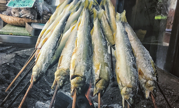 鳄鱼龟怎样养