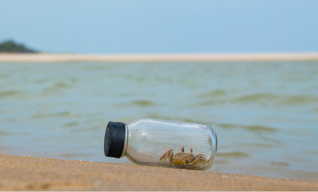 淘宝搜索浏览转化指数低怎么弄