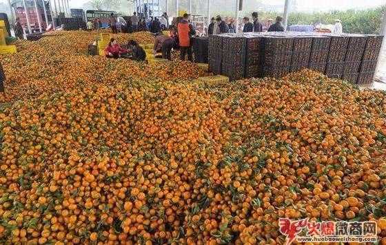 我选择做微商的七个原因