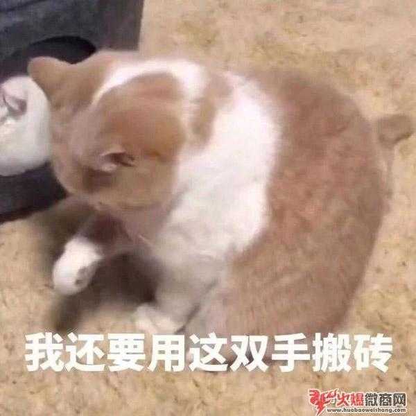 为什么建议你不要做微商？